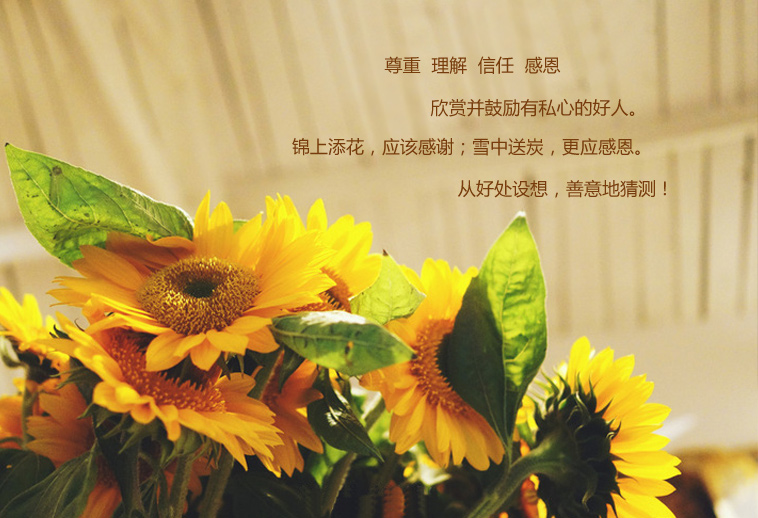 chuai10.jpg